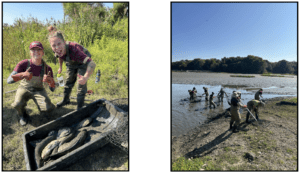 Kearan, Pascale, and John Heinz NWR staff removing invasive fish from the waterways.